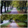 есть в осени первоначальной... есть в осени первоначальной...