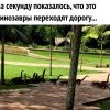 Показалось