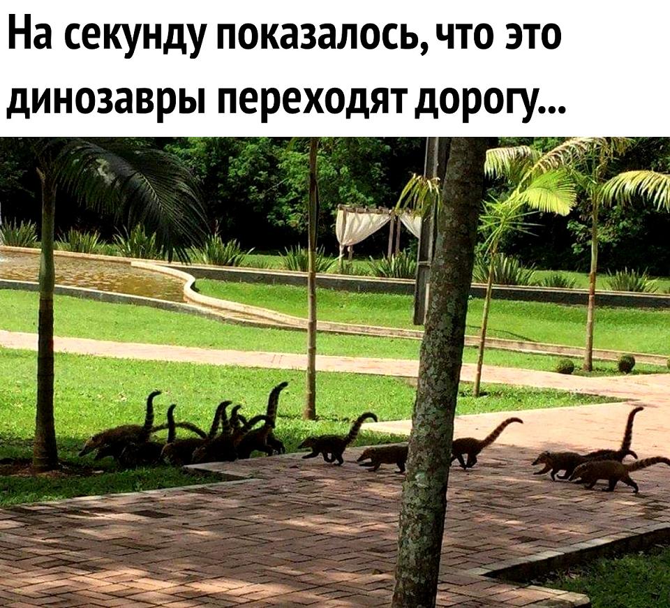 Показалось