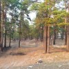 за 222м кварталом 20140419_192332