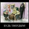 Твердость