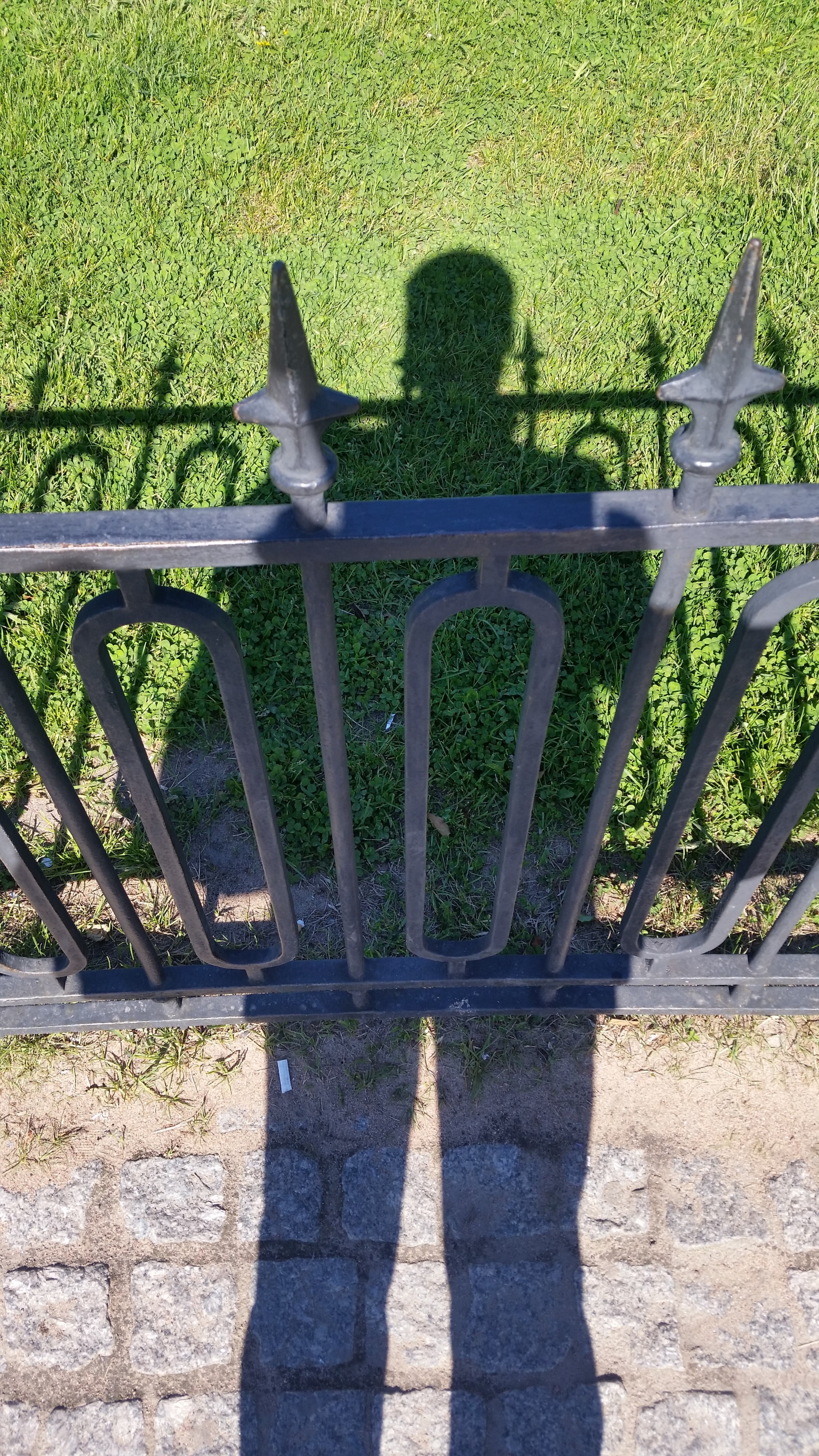 сирёгина тень назаборотраве)))))