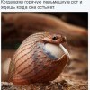 Горячая пельмешка Горячая пельмешка