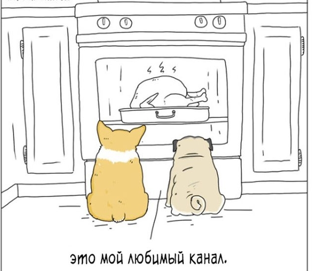 Мой любимый канал