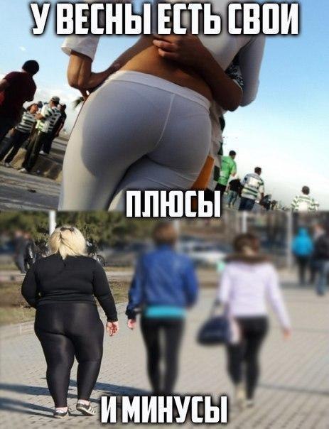 Плюсы и минусы весной