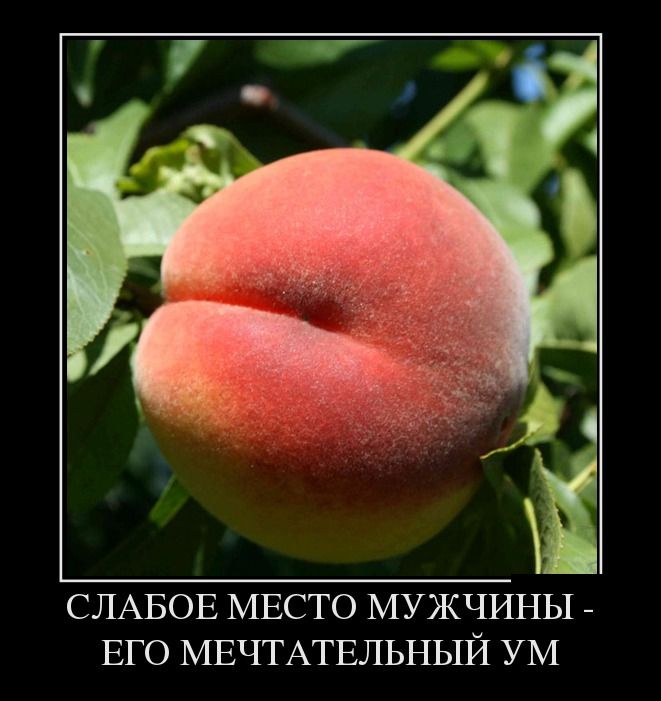 Слабое место