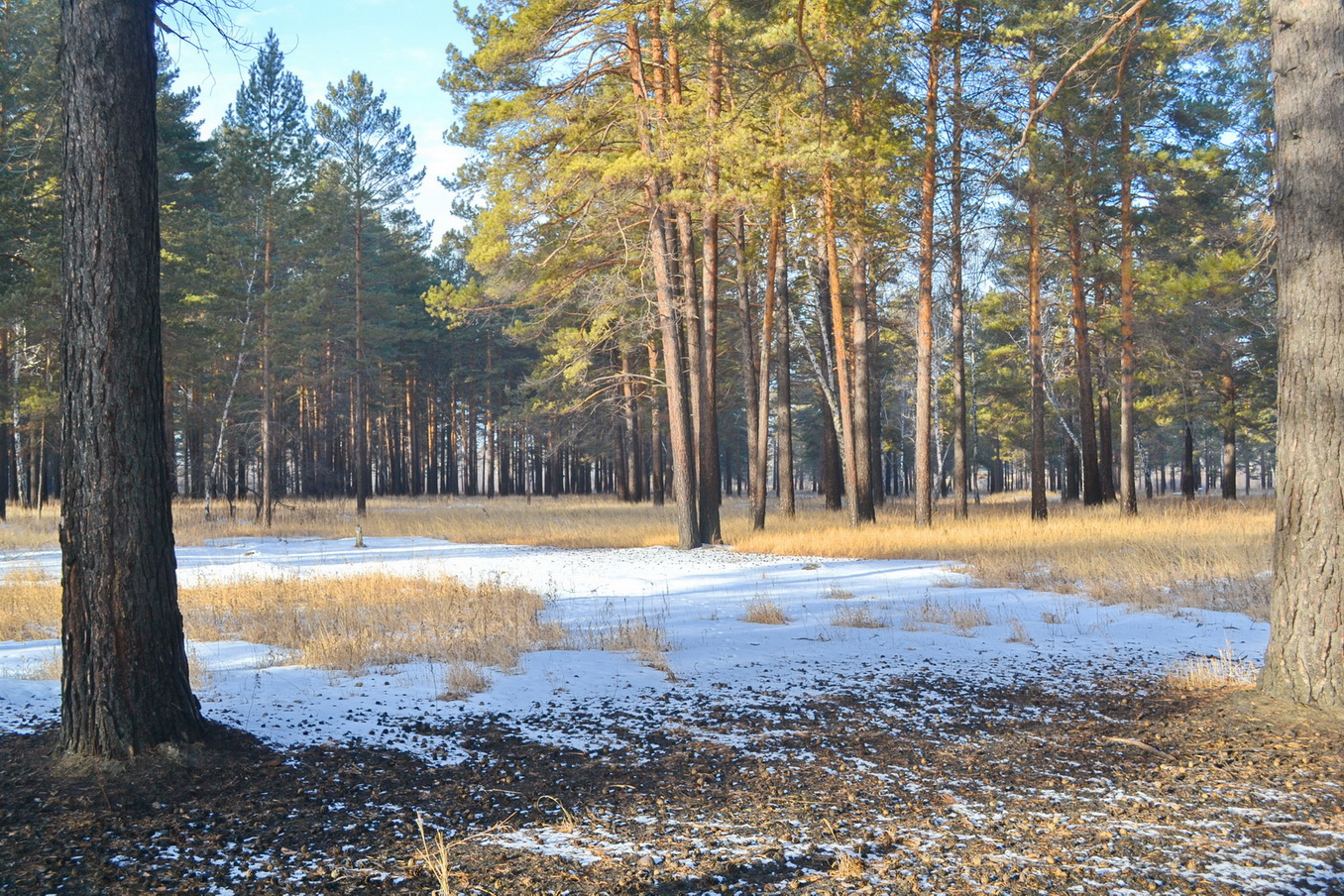 1 декабря)))))