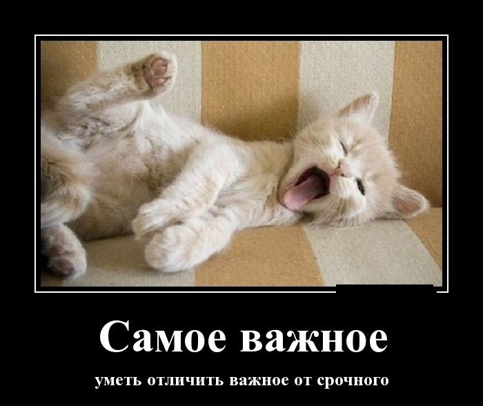 Самое важное