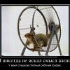 Поиск смысла Поиск смысла