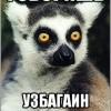 узбагоин видел? узбагоин видел?
