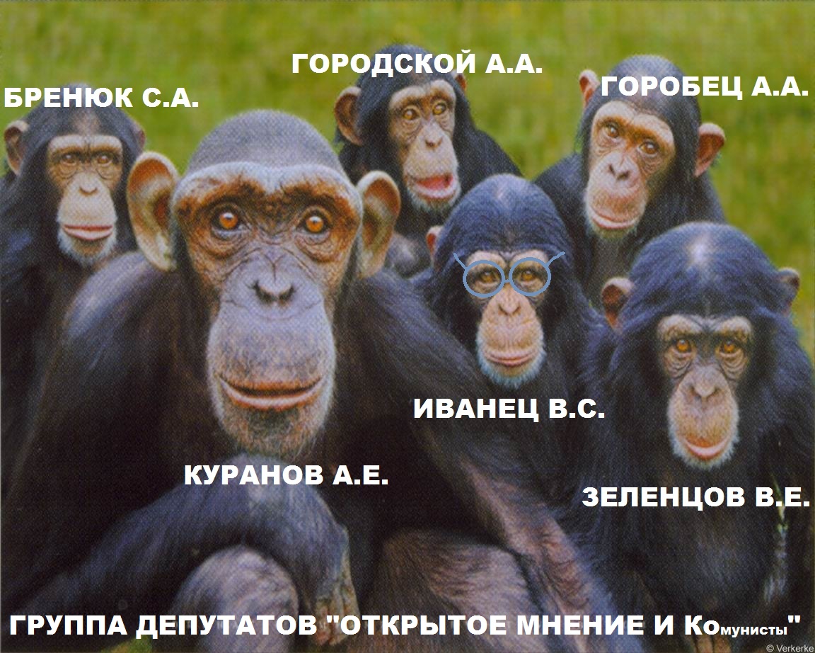 закрытое мнение