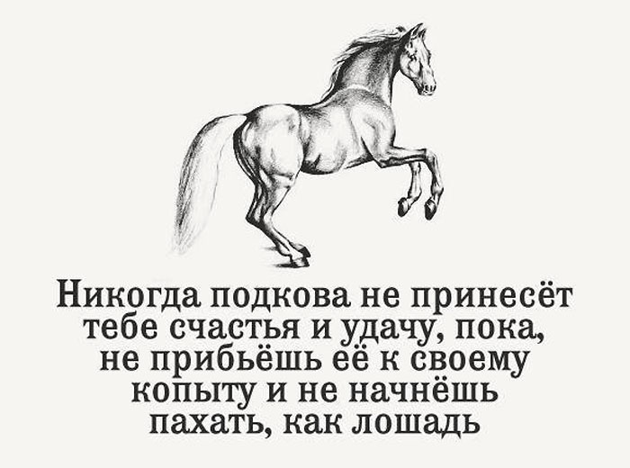 Подкова счастья