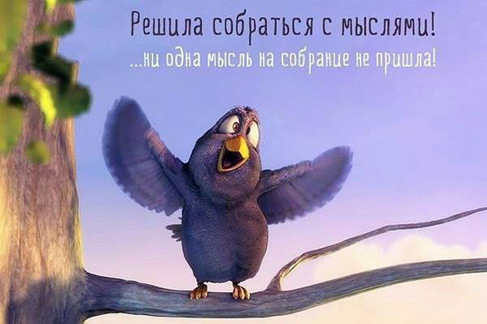 Собраться с мыслями
