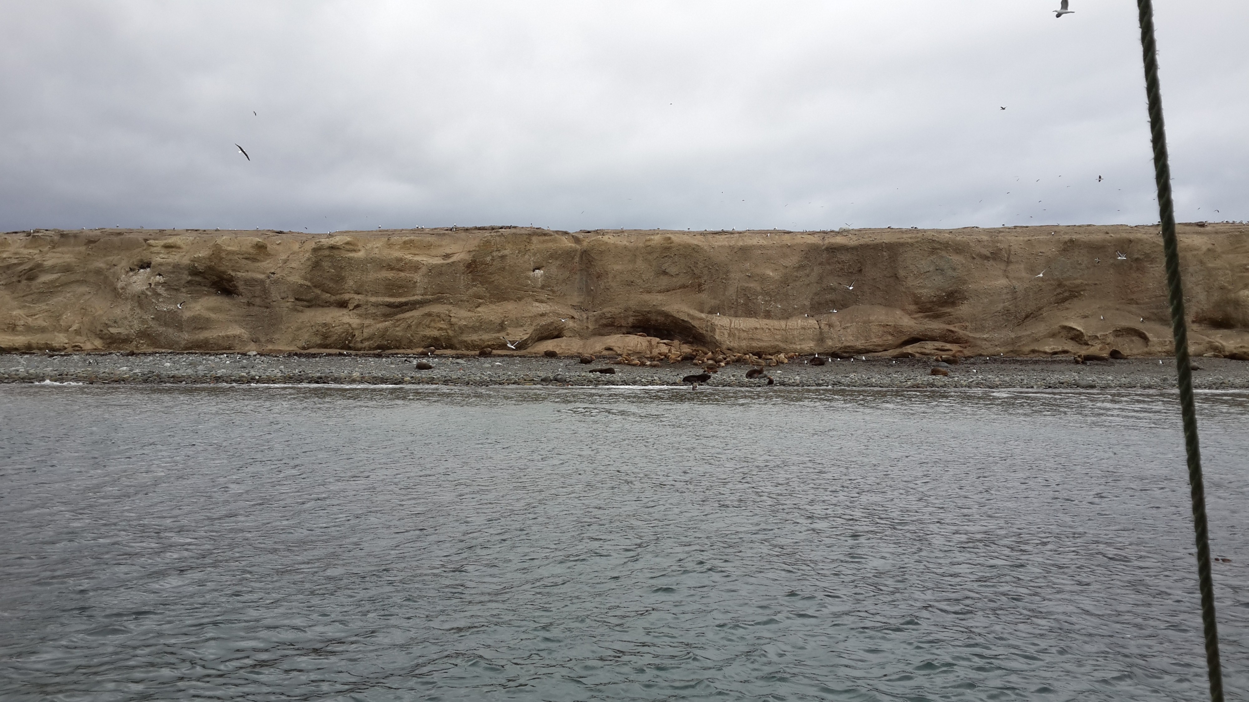 то не камни на бреге лежать, то чудища морские покой царевны-лебедь стерегут