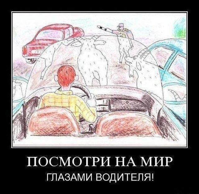 Посмотри на мир глазами водителя