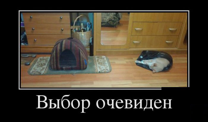 Выбор очевиден