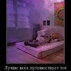 Путешественник