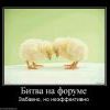 155904 bitva-na-forume