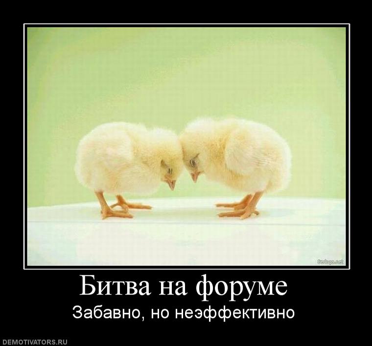155904 bitva-na-forume