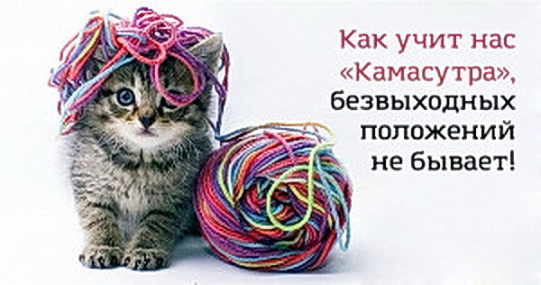 Камасутра