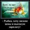 Золотая рыбка Золотая рыбка