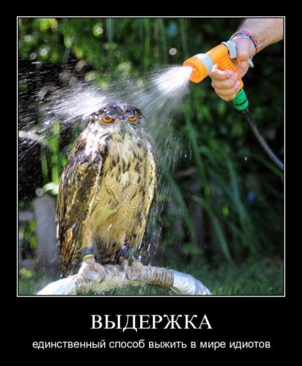Выдержка