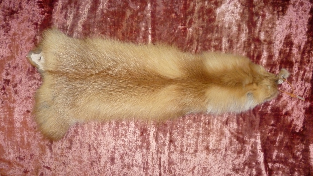 Шкурка красной лисы