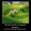 Природа прекрасна