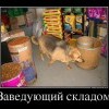 Заведующий складом