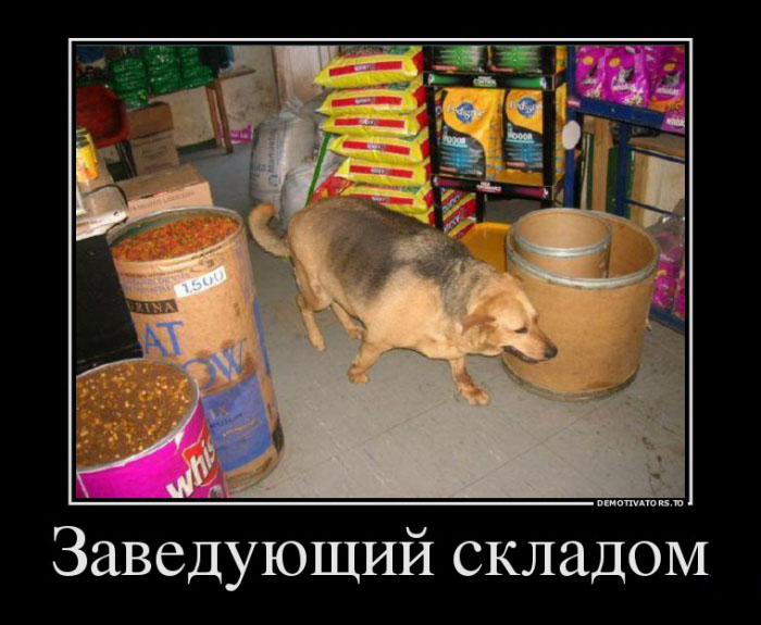 Заведующий складом