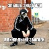 злышь! зюда иди)))))