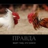 Правда
