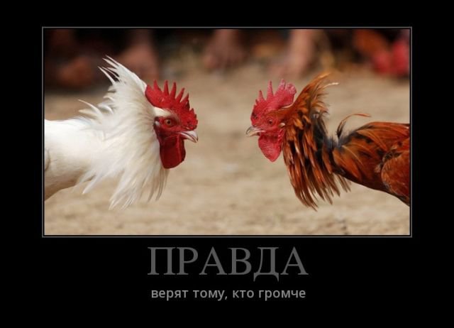 Правда