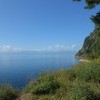 дивная краса.