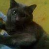 160520125268