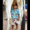 Без посредников Без посредников