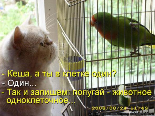 D71a1203478cf8909ce01f77b6b prev