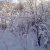 16012010307 16012010307