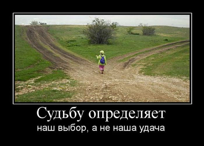 Выбор судьбы