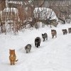 Моисей ведёт народ свой.. Моисей ведёт народ свой..