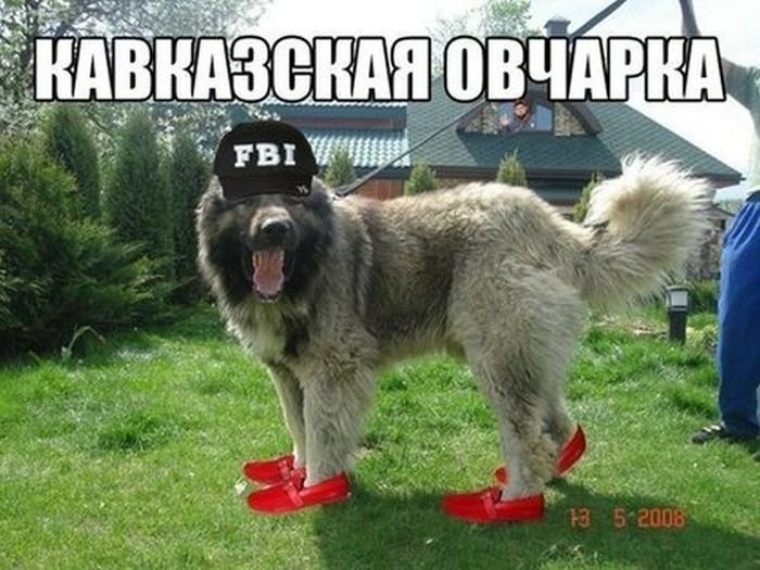 *
