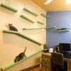 кошкин дом