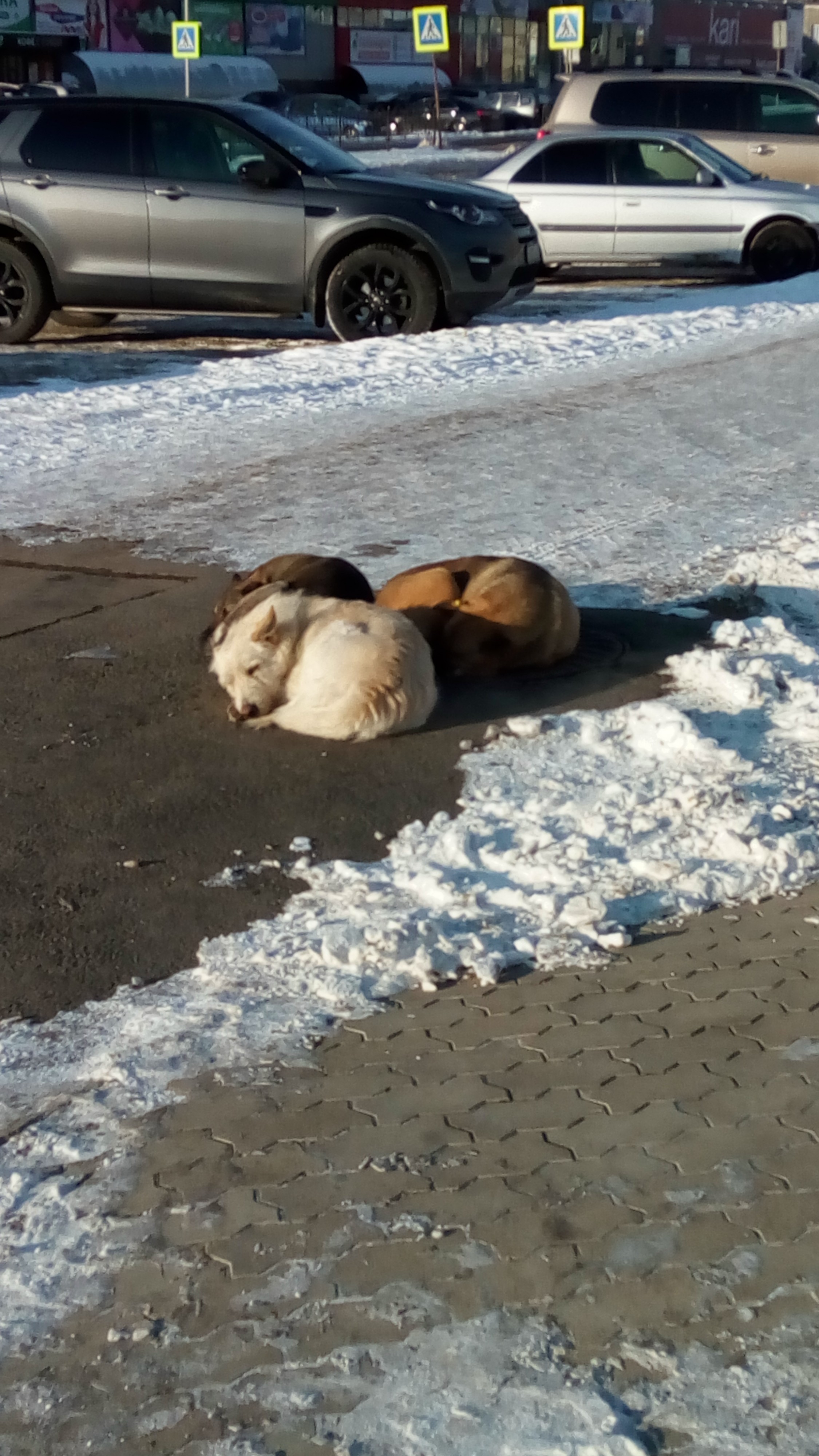 Сончас!
