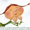 Серьезность Серьезность