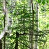 Жить захочешь не так раскорячишься