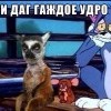 и даг гаждое удро)))))
