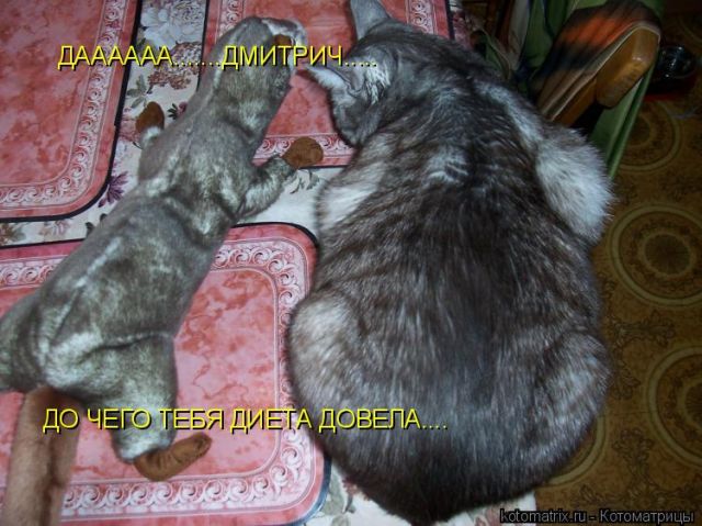 посвящается МАРСИ