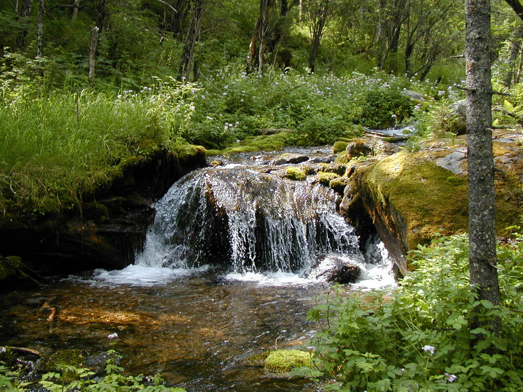 Река Целотка, коия впадает в Китой