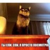 спи.. спи..
