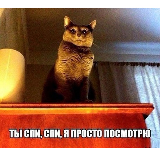 спи..
